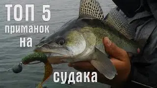 ТОП 5 уловистых приманок. Лучшие приманки для ловли судака. Советы рыболова любителя