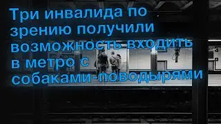 Три инвалида по зрению получили возможность входить в метро с собаками-поводырями