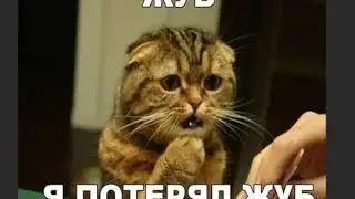 СМЕШНЫЕ ПРИКОЛЫ #5 ЛЮТЫЕ КОТЫ, МЕМЫ ИНТЕРНЕТА!