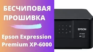 Бесчиповая прошивка Epson XP-6000 | Видеоинструкция