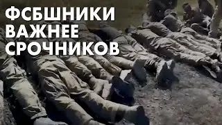 Кого Путин будет спасать из украинского плена в Курской области