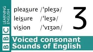 English Pronunciation 👄 Voiced Consonant - /ʒ/ - 'pleasure', 'leisure' and 'vision'