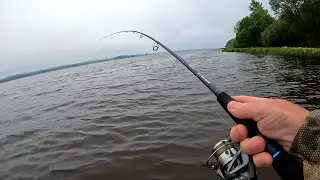 Я В ШОКЕ ОТ ТАКОЙ РЫБАЛКИ🎣 КУДА НЕ КИНЬ ВЕЗДЕ КЛЮЁТ🐟 Щука, Окунь, Жерех на Спиннинг 2024