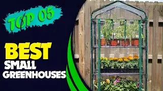 🌱 The Best Small Greenhouses 2022 - Popular & Exclusive Products!