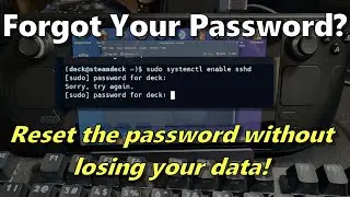 Steam Deck Quickie: Reset Forgotten Sudo/Deck Password (No Data Loss)