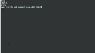 How to use the CAT Command in Linux to open a Text File