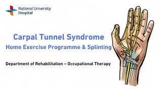 Management of Carpal Tunnel Syndrome: Home Exercise Programme and Splinting