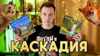 КАСКАДИЯ - ОБЗОР И ПРАВИЛА! ТОП ДЛЯ СЕМЕЙНЫХ ИГР!