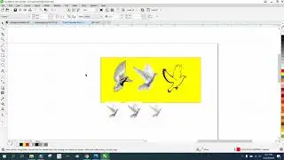 Corel Draw Tips & Tricks Remove White Back Ground from a photo Part 3 Clipart