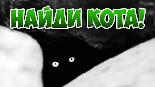 Найди кота, часть 7 🐈 БУДЬ В КУРСЕ TV