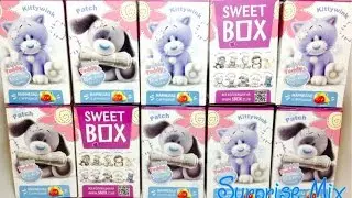 Друзья Мишки Тедди СВИТ БОКС НОВИНКА Коробочки Сюрпризы - Tatty Teddy toys surprise boxes opening