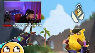 How the #1 Gekko main carried Tarik