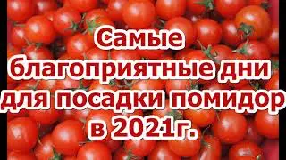 КОГДА СЕЯТЬ ТОМАТЫ В 2021 ГОДУ? Не спешить сеять слишком рано! Посев по лунному календарю!