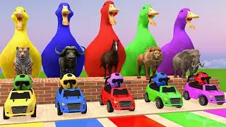 5 Giant Duck Cartoon,Cow,Elephant,Horse,Tiger,Gorilla,Dinosaur, Transfiguration funny animal 2023