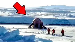 First Ever Footage From Beyond The Ice Wall Of Antarctica Terrifies The Whole World