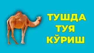 Туш табири - Тушда Туя куриш