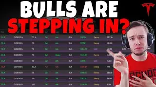 TESLA Stock - The TSLA Bulls Are Stepping In?