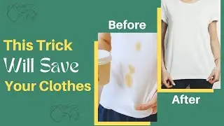 How To Remove Old Tea Stains From Clothes -Try This Simple Home Remedy