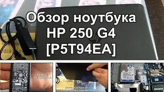 Ноутбук HP 250 G4 (P5T94EA) - обзор, тесты, разборка, сравнение с одноклассниками