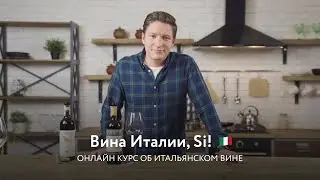 Вина Италии, Si! Онлайн курс об итальянском вине от Романа Ремеева