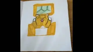 Домик для Симбы #симбочка##домик#