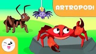 Gli artropodi per bambini - Animali invertebrati - Scienze naturali per bambini