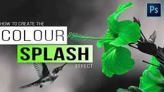 The Color Splash Effect - How To Make A Photo Black And White Except One Color (BEST WAY)