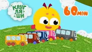 Мультфильмы и песенки для детей👶Автобус 🚌БОЛЬШОЙ СБОРНИК🚌Кругляши