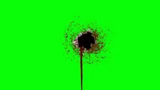 Bleeding Bullet Hole Wound - Green Screen Animation