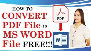 How to Convert PDF File to MS Word File