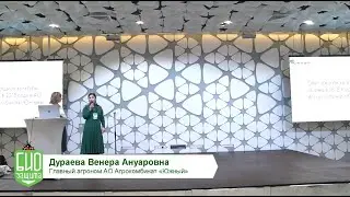 Опыт защиты культуры огурец в 2018 г. в АО Агрокомбинат «Южный»