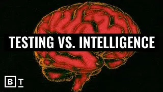 How should we measure intelligence? | Mary-Helen Immordino Yang