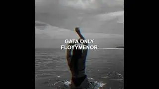 GATA ONLY EDIT AUDIO  #audio #tiktok #editaudio #edit