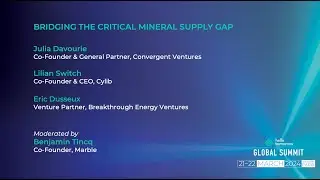 Bridging the Critical Mineral Supply Gap