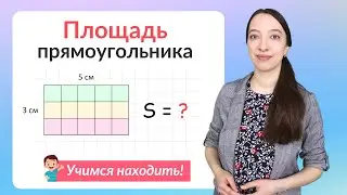 Площадь прямоугольника. Как найти площадь прямоугольника?