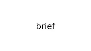 brief #legal #term #terms #english #meaning #meanings #definition #definitions