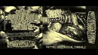 SxTxPx - Rotten Connective Tissue [2014] (FULL ALBUM)