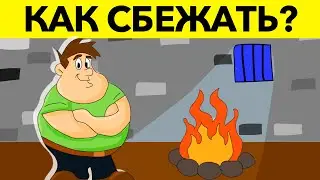 НОВЫЕ ЗАГАДКИ НА ЛОГИКУ, которые ЗАСТАВЯТ НАПРЯЧЬ МОЗГ