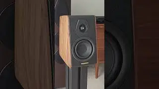 Yes, the Sonus faber Concertino G4 Has a Cork Cabinet!