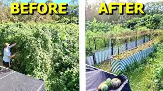 AMAZING Overgrown Garden Bed RESCUE!