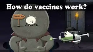 How do vaccines work? | #aumsum #kids #science #education #children