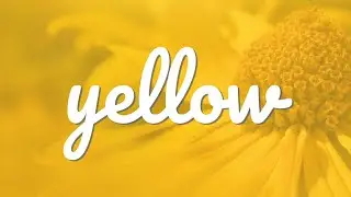 Sunny, Cheerful, Optimistic: Meet Yellow! (Color Meaning Video)