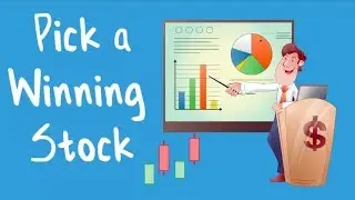 HOW TO PICK A WINNING STOCK