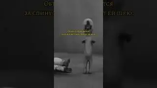 Объект 173 