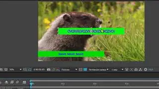 Анимированная плашка в After Effects  Сохранение с альфа каналом