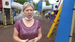 сюжет покраска в парке