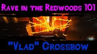Zombies 101 :: Rave in the Redwoods 101 :: 