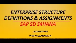 Enterprise Structure SAP SD | organizational structure sap sd | org structure sap sd s4hana