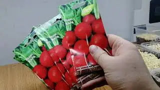 МИКРОЗЕЛЕНЬ : РЕДИС, РУККОЛА, КАПУСТА, ГОРОХ / ПЕЧАЛЬНЫЙ Опыт #20