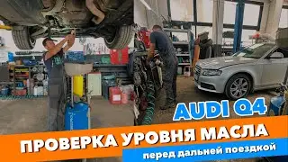 AUDI А4 Проверка уровня масла перед дальней покздкой